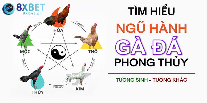 Các phương pháp xem màu mạng gà phổ biến