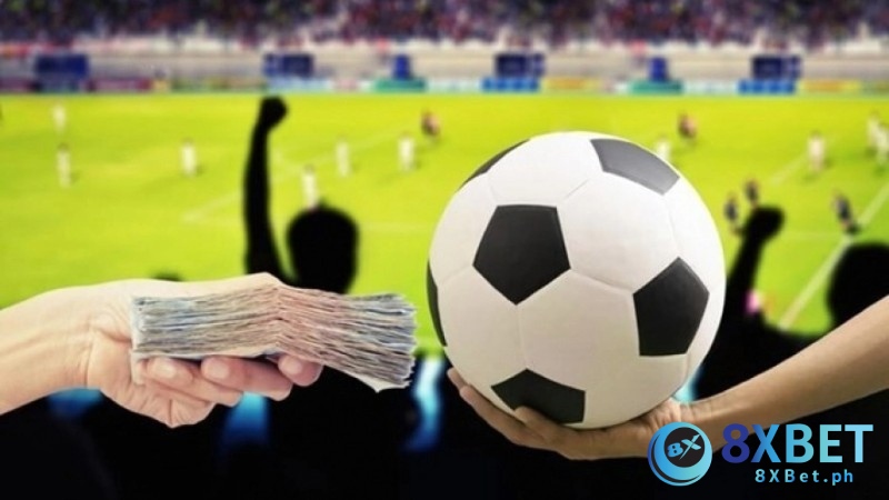 Những hình thức thể thao đình đám tại sảnh cược 8Xbet