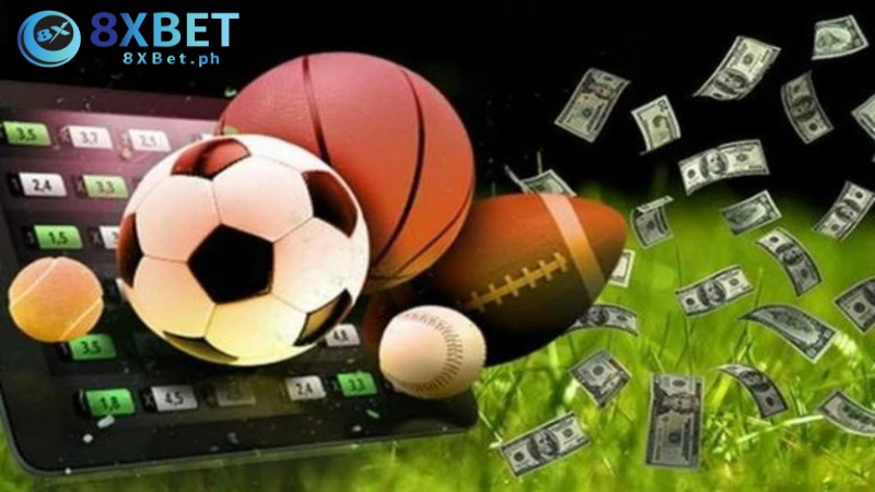 Tóm tắt sơ lược về sảnh thể thao 8Xbet