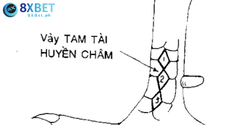 Giải thích về vảy gà huyền trâm là gì?